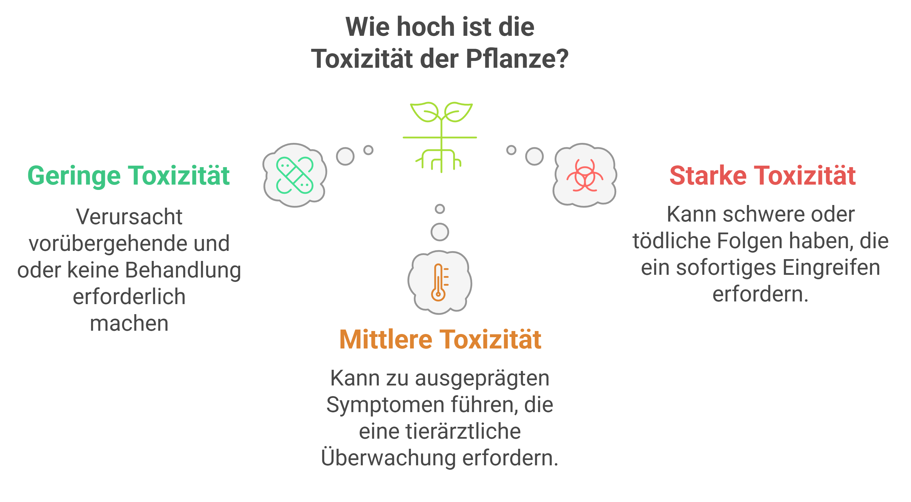 toxicité plantes cheval